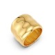 Δαχτυλίδι Flowy Gold 127422-M
