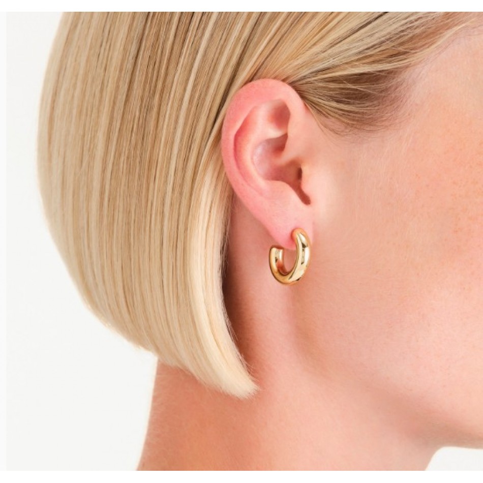 Σκουλαρίκια Rosefield Medium Thick Hoops Gold JESHG-J931